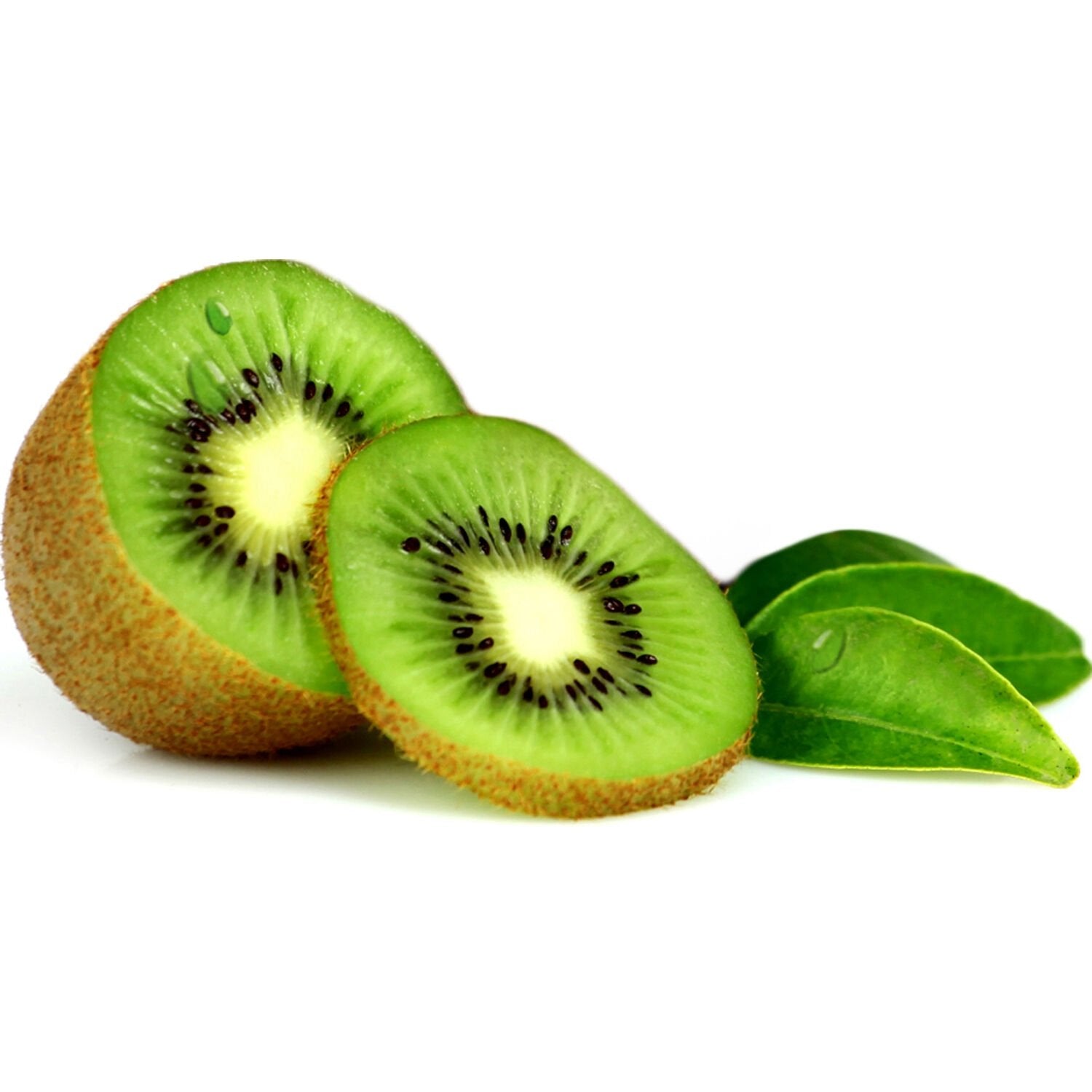 Kiwi Hayward la pièce