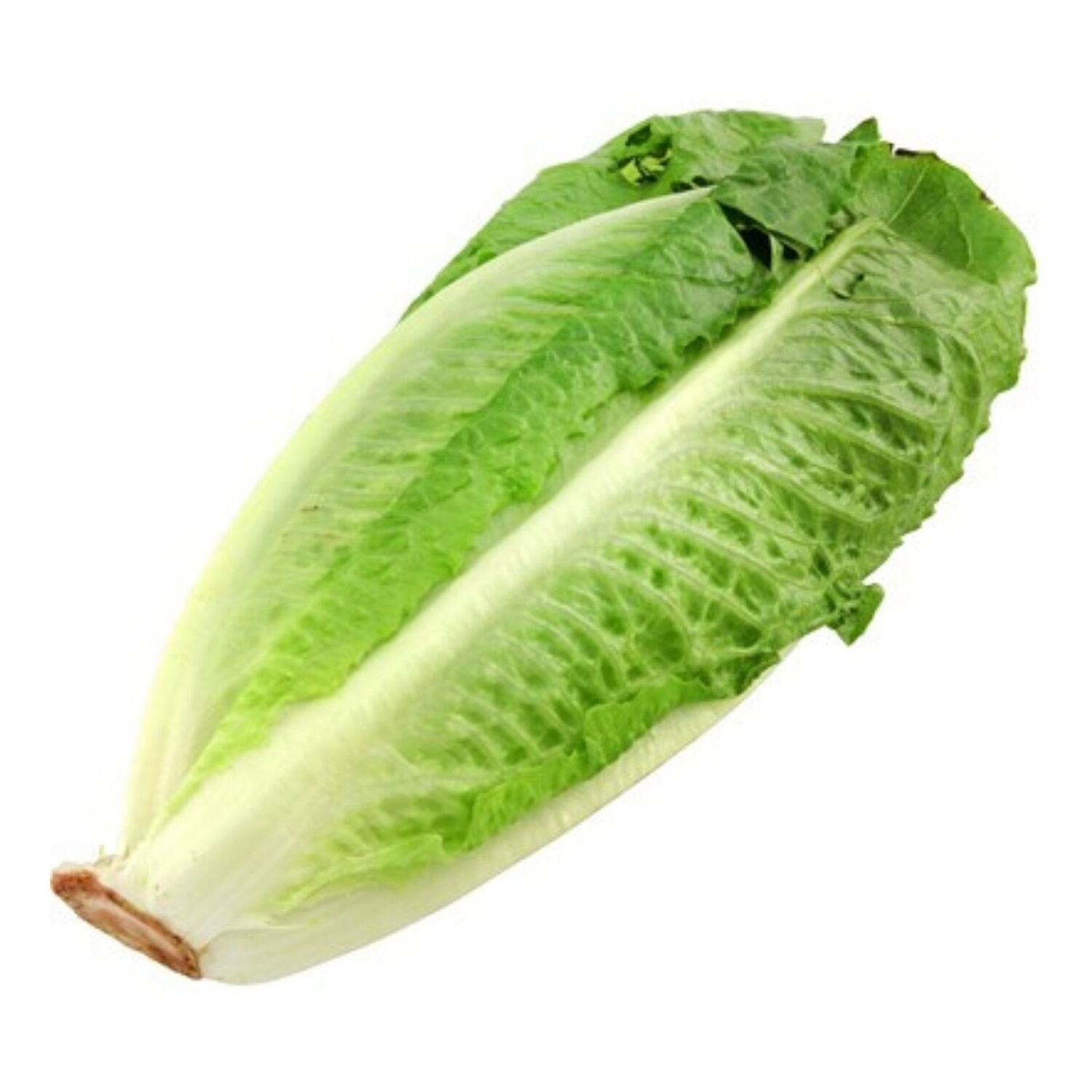 Salade romaine - 1 pièce