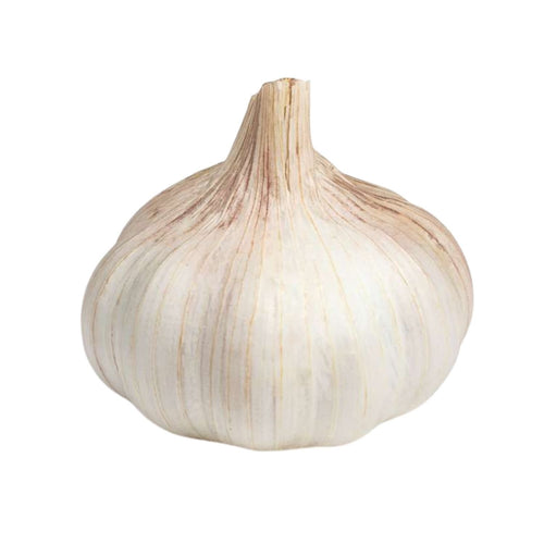 Ail 1 tête - Le filet